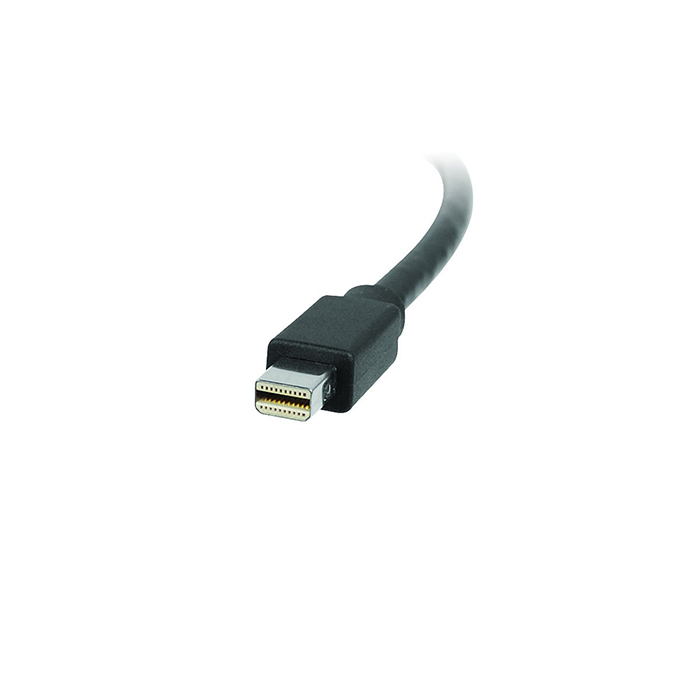 Mini DisplayPort Cable Adapter